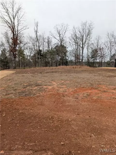 13928 Water Color Pointe, Northport, AL 35475