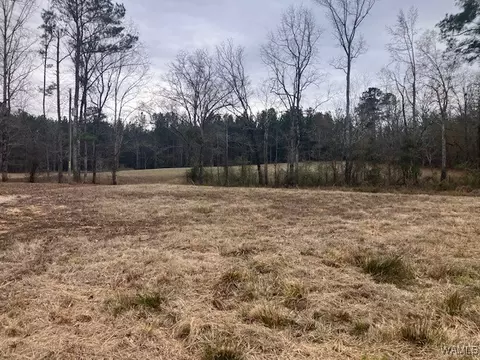 12990 Northside Rd, Northport, AL 35475