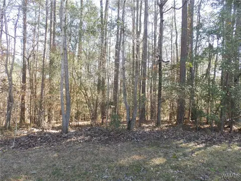 0000 Daffron Rd, Tuscaloosa, AL 35453