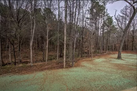 Exterior - 12159 Northside Rd, Berry, AL 35546 photo 6 of 15