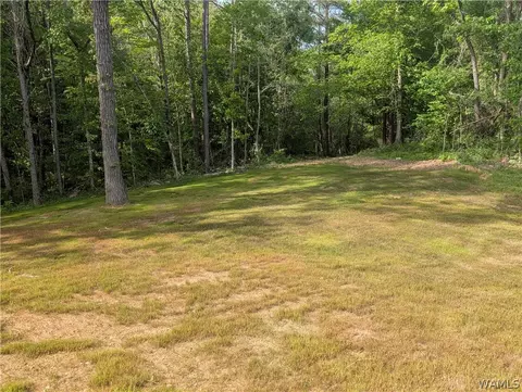 Exterior - 12159 Northside Rd, Berry, AL 35546 photo 12 of 15