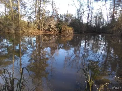 0 Highway 107co Rd 47, Fayette, AL 35555