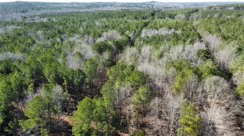 34 County Road 51, Fayette, AL 35555