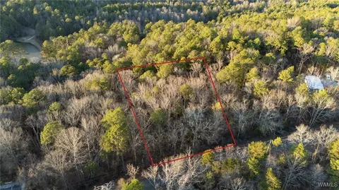 27 Mountain View Ln, Vance, AL 35490