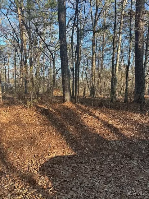 20 Marshall Dr, Lake View, AL 35111