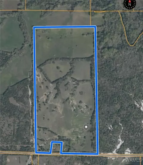 00 Hodges Dial Rd, Epes, AL 35460