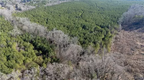 00 Weeks Rd, Winfield, AL 35594 photo 5