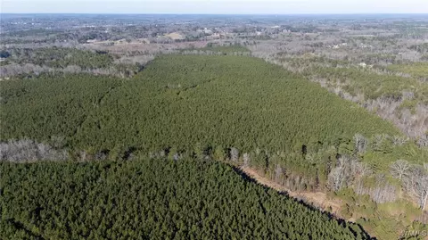00 Weeks Rd, Winfield, AL 35594 photo 7