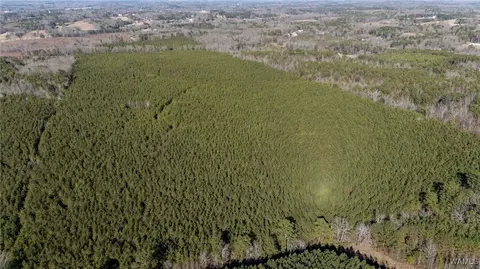 00 Weeks Rd, Winfield, AL 35594 photo 9