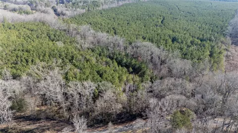 00 Weeks Rd, Winfield, AL 35594 photo 4