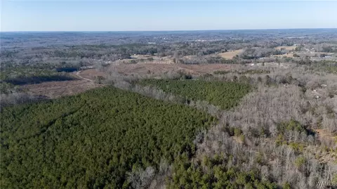 00 Weeks Rd, Winfield, AL 35594 photo 16
