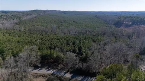 00 Weeks Rd, Winfield, AL 35594 photo 21
