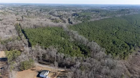 00 Weeks Rd, Winfield, AL 35594 photo 19