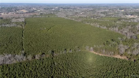 00 Weeks Rd, Winfield, AL 35594 photo 8