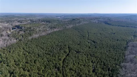 00 Weeks Rd, Winfield, AL 35594 photo 17