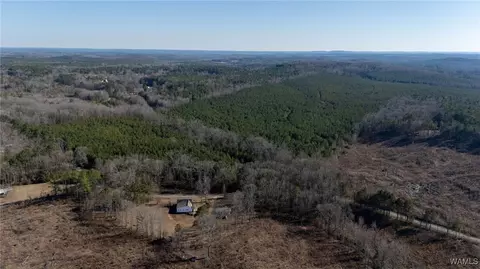 00 Weeks Rd, Winfield, AL 35594 photo 20