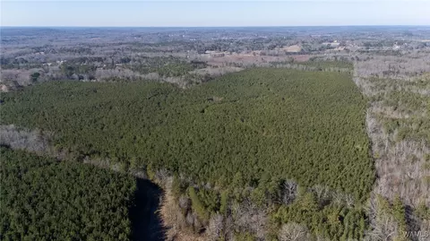 00 Weeks Rd, Winfield, AL 35594 photo 6