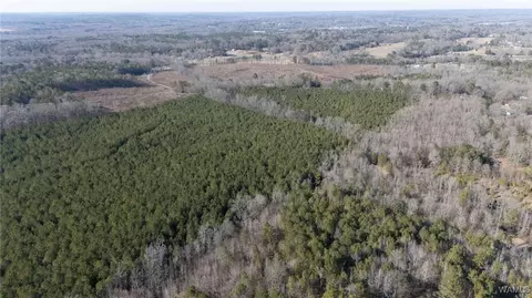 00 Weeks Rd, Winfield, AL 35594 photo 15