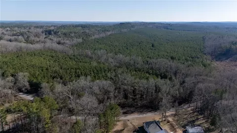 00 Weeks Rd, Winfield, AL 35594 photo 3