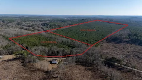 00 Weeks Rd, Winfield, AL 35594