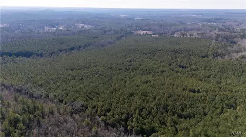 00 Weeks Rd, Winfield, AL 35594 photo 14