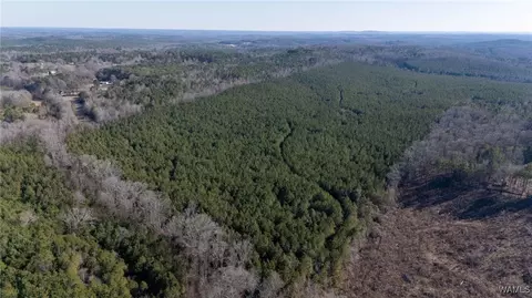 00 Weeks Rd, Winfield, AL 35594 photo 18