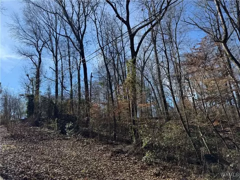00 E Lake Dr, Tuscaloosa, AL 35405