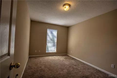 12431 Mcmath Trl, Mc Calla, AL 35111 photo 7