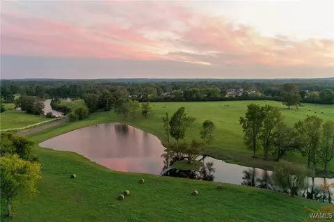 0 Tierce Patton Rd, Northport, AL 35475
