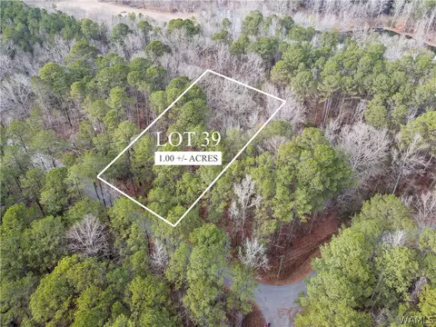 lot39 Grandview Dr, Northport, AL 35475