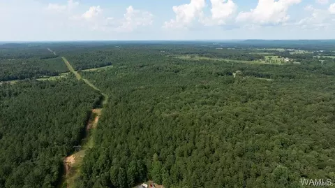 0 Wilkerson Rd, Fayette, AL 35555