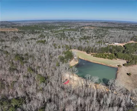 6171 Hwy 102, Fayette, AL 35555