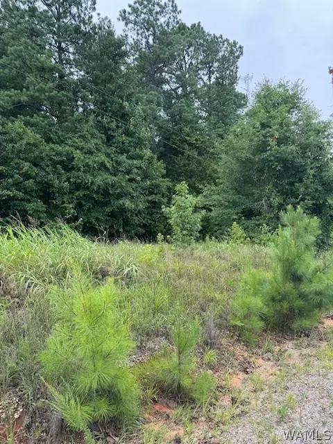 10452 N Davis Rd, Cottondale, AL 35453