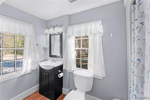 Bath - 16518 Wesley Chapel Rd, Ralph, AL 35480 photo 4 of 5