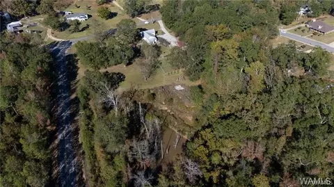 Other - 16518 Wesley Chapel Rd, Ralph, AL 35480 photo 21 of 22