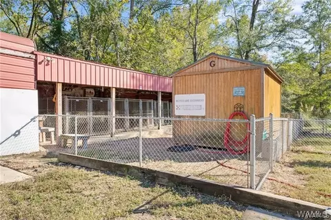 Exterior - 16518 Wesley Chapel Rd, Ralph, AL 35480 photo 2 of 8