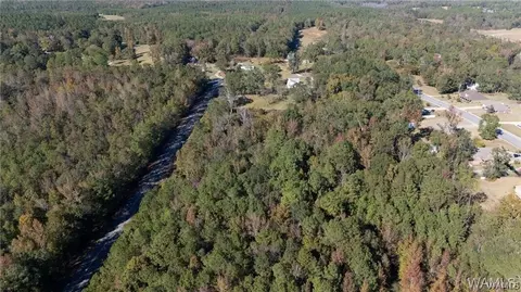 Other - 16518 Wesley Chapel Rd, Ralph, AL 35480 photo 22 of 22