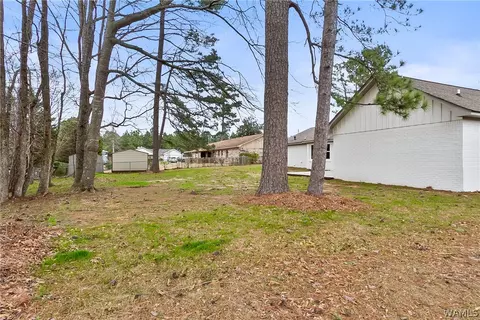 7122 61st Ave E, Cottondale, AL 35453 photo 40