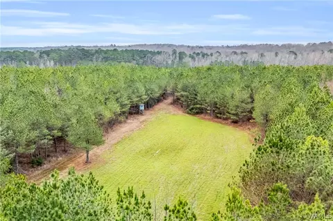 000 County Rd 12, Carrollton, AL 35447