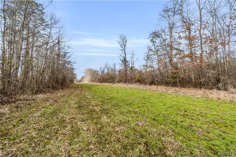 tbd County Rd 12, Carrollton, AL 35447