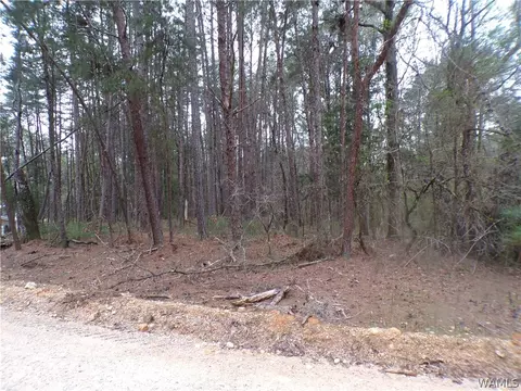 13495 Gilbert Tommie Rd, Mc Calla, AL 35111