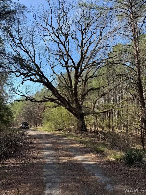 2 Highway 13, Nauvoo, AL 35575