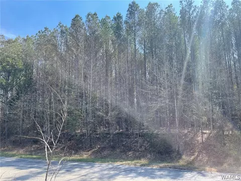 0 County Road 53, Eldridge, AL 35554 photo 9