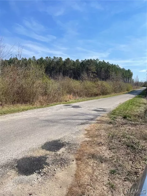 0 County Road 53, Eldridge, AL 35554