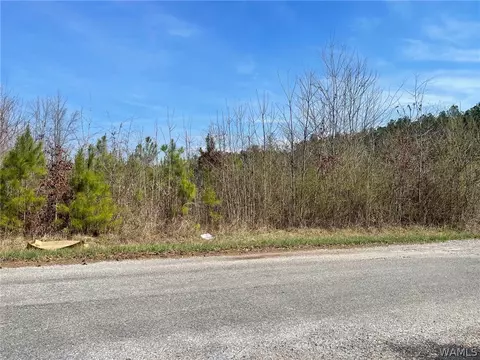 0 County Road 53, Eldridge, AL 35554 photo 3