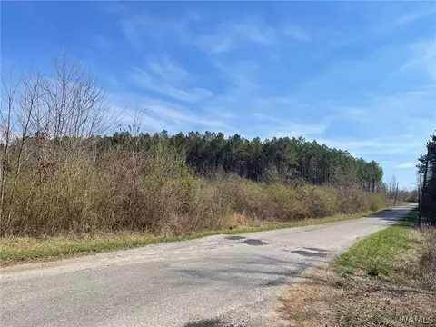 0 County Road 53, Eldridge, AL 35554 photo 2