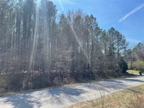 0 County Road 53, Eldridge, AL 35554 photo 8