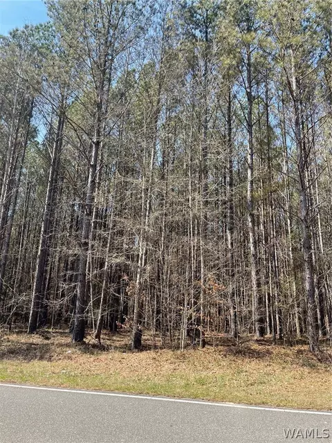 0 County Road 53, Eldridge, AL 35554 photo 7