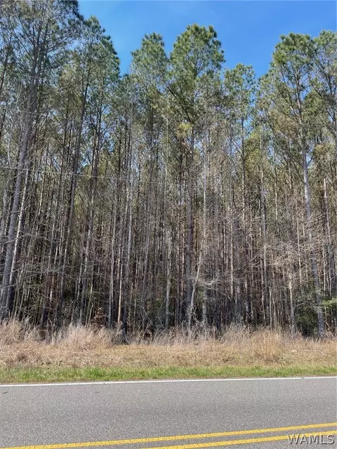0 County Road 53, Eldridge, AL 35554 photo 6