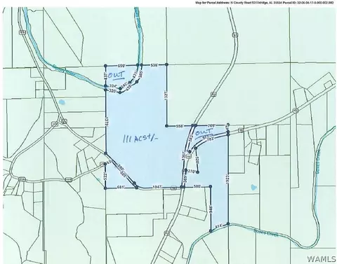 0 County Road 53, Eldridge, AL 35554 photo 10